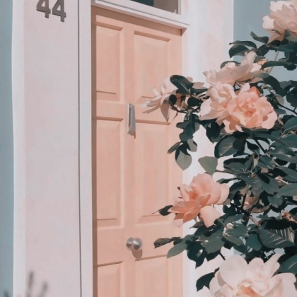 Pink door Roblox decal