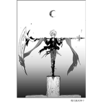 Heart_ Pirates