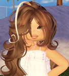~bloxburg-builders~