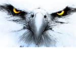 eagle playz