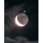 Little Moons Army