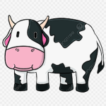 Cult of cow