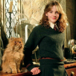 Harry Potter and Hermione Granger ( story)