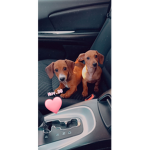 Lexi&tawana