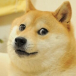 ~Doggie United~