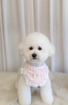 강아지 좋아하는분들만!!