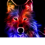 The Rainbow Wolf Group