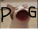 Pogger Productions