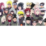 Ninjas of tyy