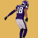 NFL fans 4 life!