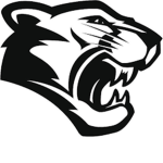 The Unstoppable Panthers