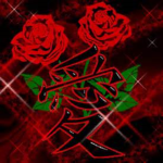 Rose Creations