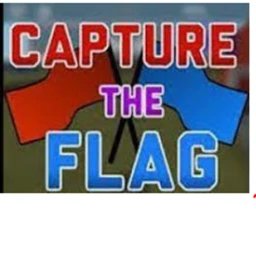 captura la bandera icon