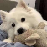 yаcht