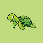 The Turtle Corporation