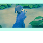 ~Preppy Parrots~