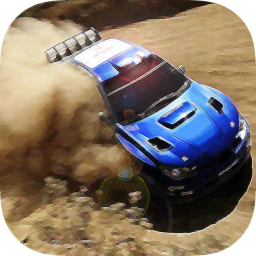 Blue Bolts Rally Racing