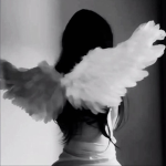 ･. ʚ Fallen Angels ɞ .･