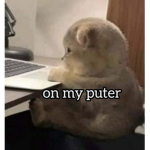 morqored