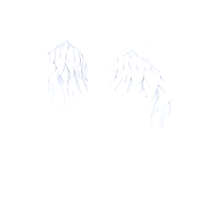 White Angel Wings [Emissive]