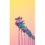 Please follow mauh