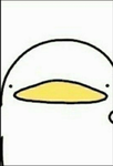 ?부대