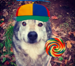 NORTONHATECLUB