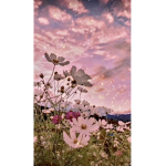 Kai’s aesthetic <3