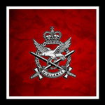 [AM] 1st Aviation Regiment