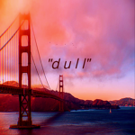 d u l l clothing