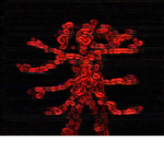 Reanimate45 Official YT Fan Group