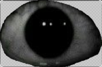 The watchers association