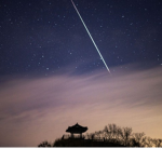 배드워즈 STAR그룹