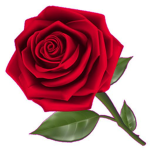 #roselegends