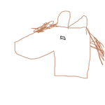 horse heart