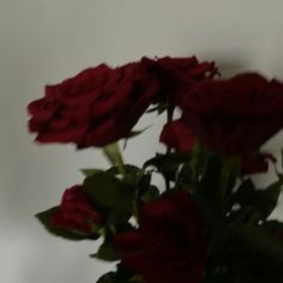 ୨୧ - ‿‿‿‿