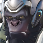 Didact Studio