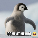 Artic Penguinos