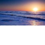 OceanxSquad