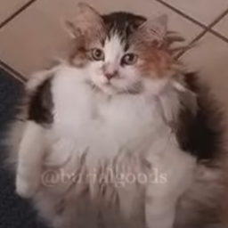 Brother, may I have some loops?