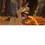 the donkeyy fam