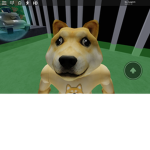doggy united
