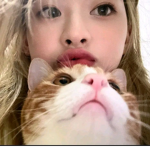 yunjinnsourr