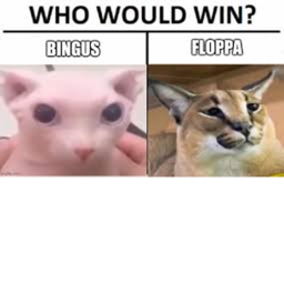 BINGUS VS FLOPPA [BETA]