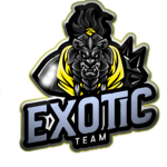 TEAM_EXOTIC / Strucid
