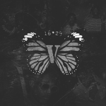 *l u v e *