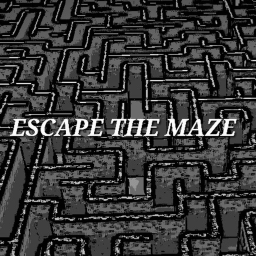 Escape the maze!✨