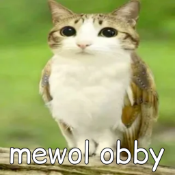 🐱 Meowl Obby 🦉