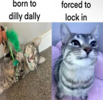 Omksus
