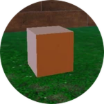 House Part